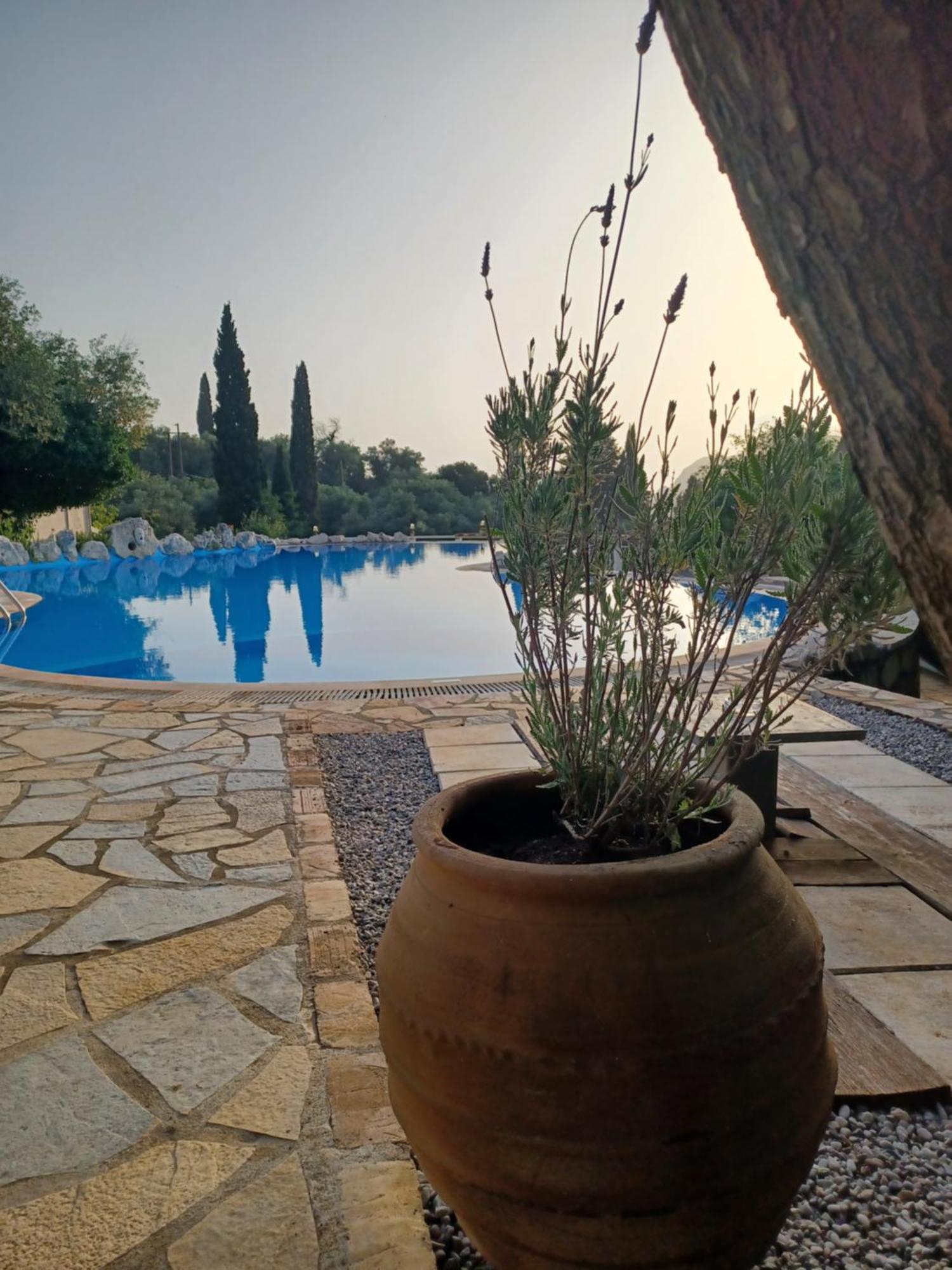 Medusa Lux Apartments Liapades Bagian luar foto